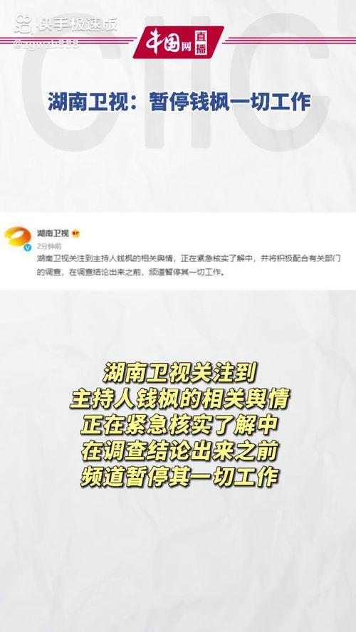 娱乐圈吃瓜暗语大全图片,吃瓜暗语大揭秘,一图看懂明星圈层话术